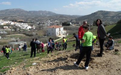 El Ayuntamiento de Priego de Córdoba entrega 75 plantas de árboles al colegio rural -Tiñosa-