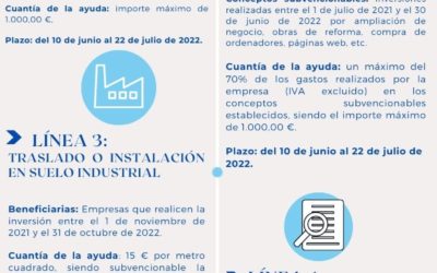 PLAN LOCAL DE APOYO AL EMPRENDIMIENTO Y CONSOLIDACIÓN EMPRESARIAL