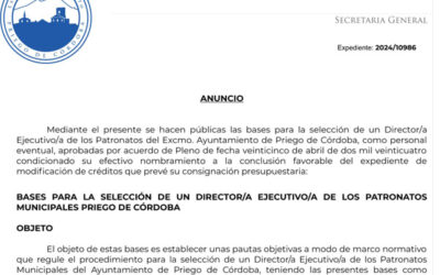 Bases del Procedimiento para la selección de un Director/a Ejecutivo/a de los Patronatos Municipales del Ayuntamiento de Priego de Córdoba