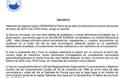 Próximo Pleno convocado para el 30 de enero de 2025, Síguelo en Directo